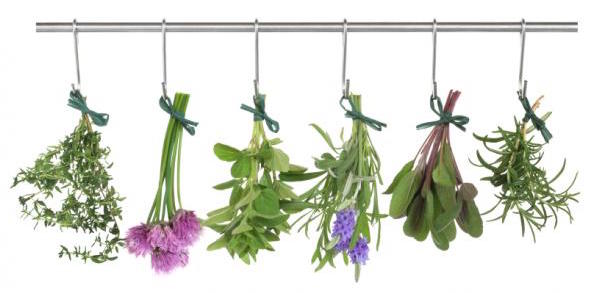 f:id:kotorio:20180315040403j:plain