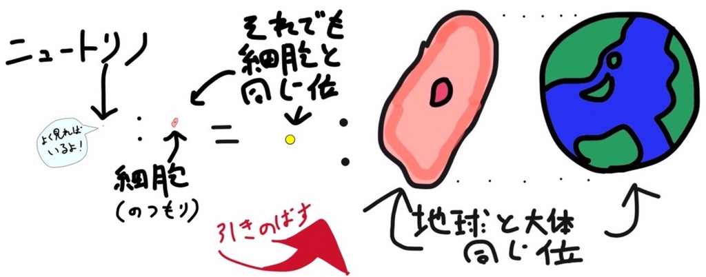 f:id:kotosanagi:20151007065535j:plain f:id:kotosanagi:20151007065535j:plain