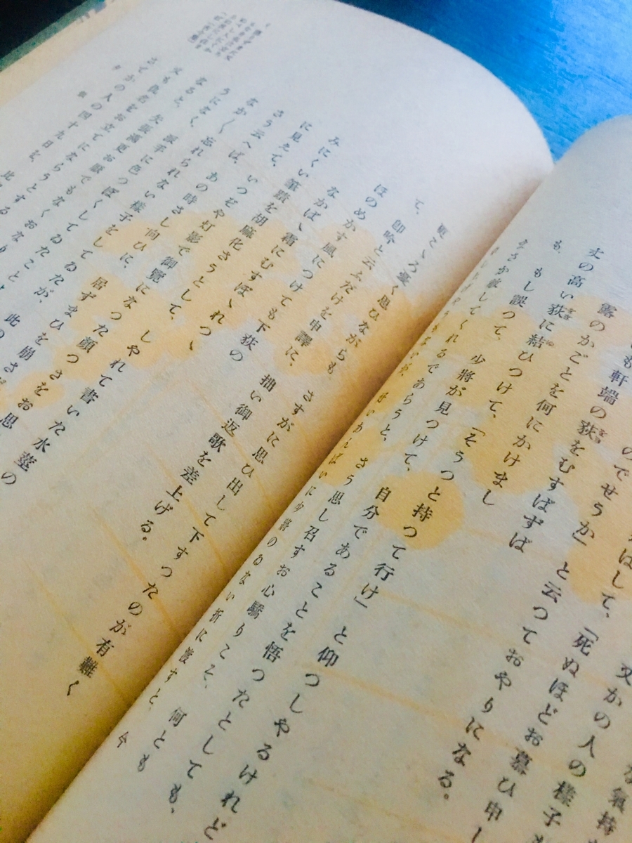 f:id:kototamakotonomama:20190621192645j:plain