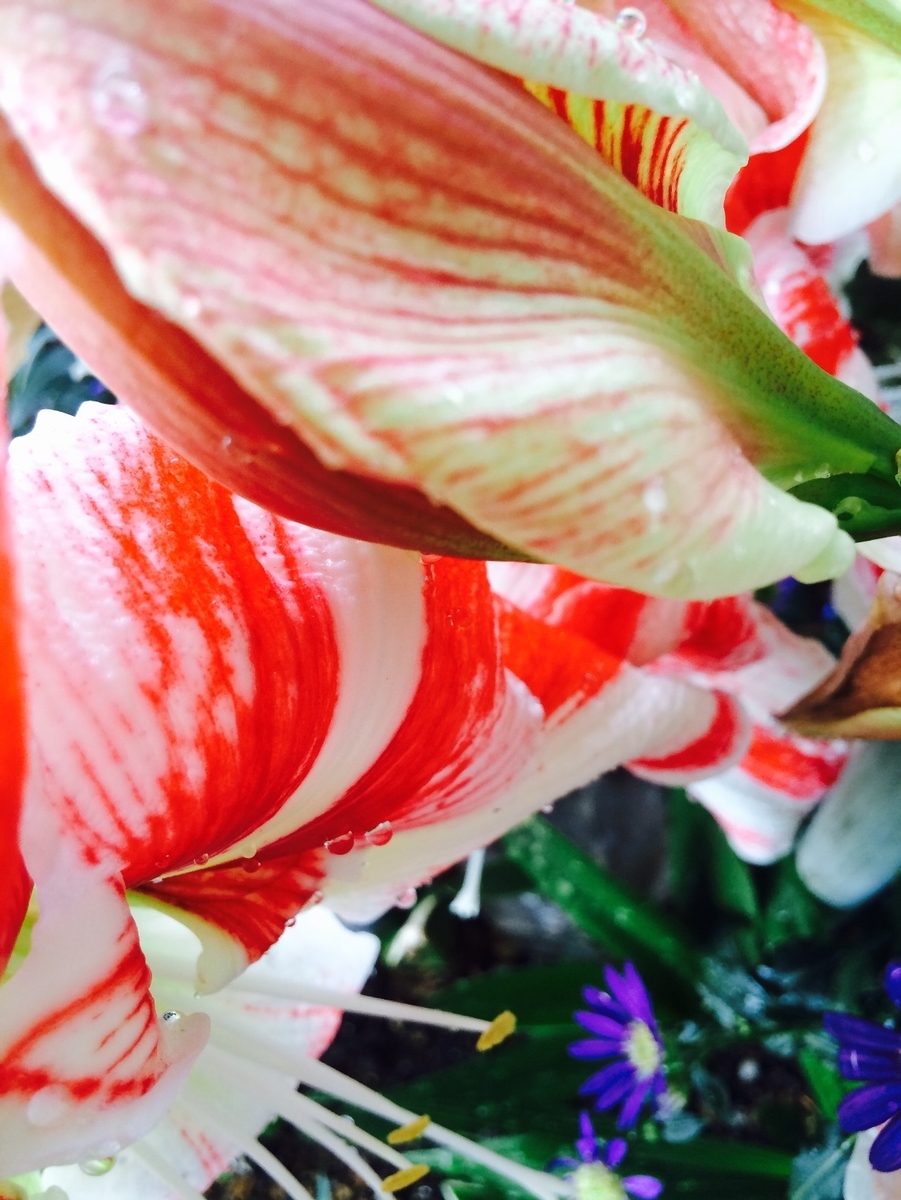 f:id:kototamakotonomama:20190621192735j:plain