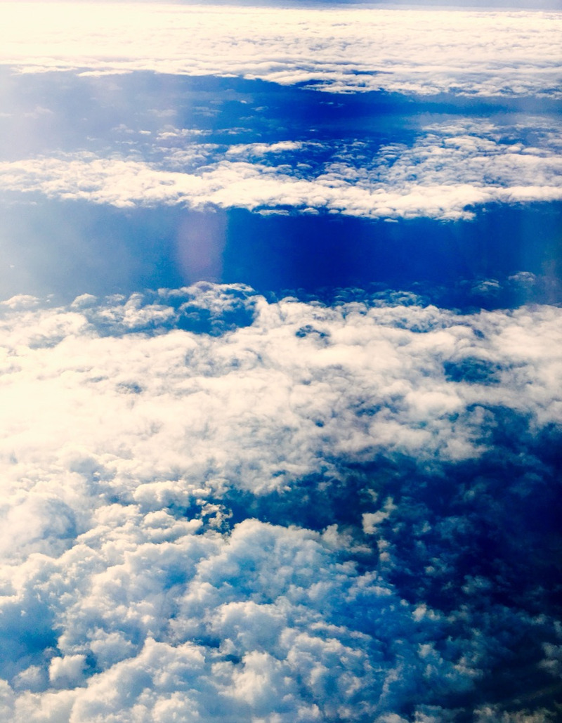 f:id:kototamakotonomama:20190625140421j:plain