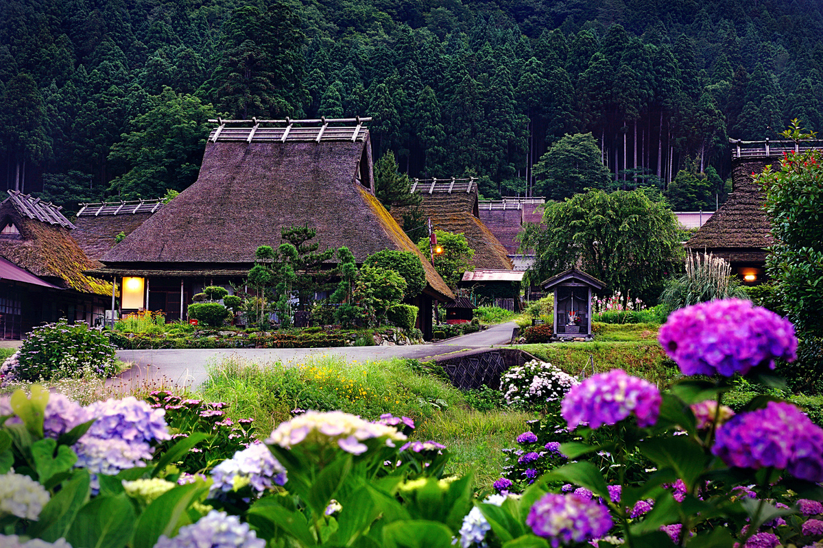 f:id:kototamanomanabi:20210615065906j:plain