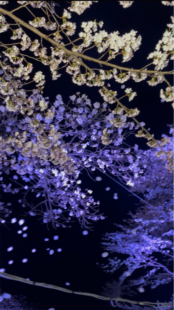f:id:kototemi:20260404160053j:image