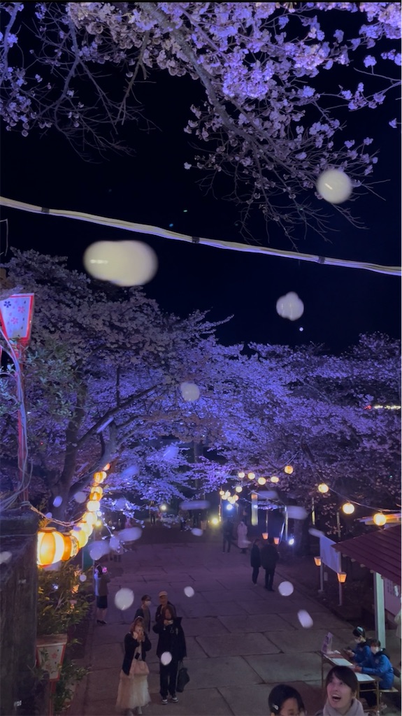 f:id:kototemi:20260404160101j:image