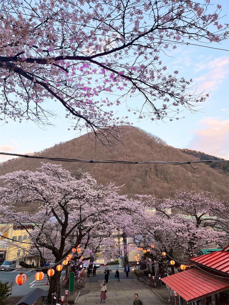 f:id:kototemi:20260404160108j:image