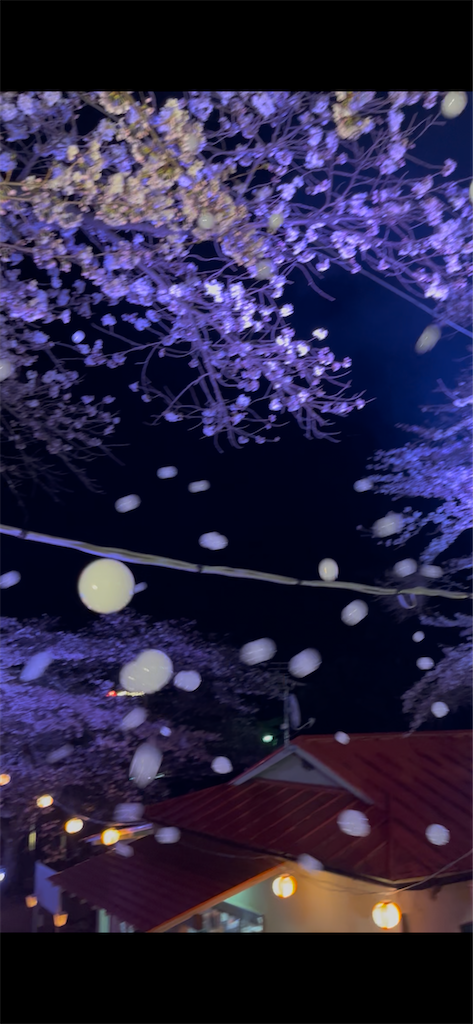 f:id:kototemi:20260404160117p:image