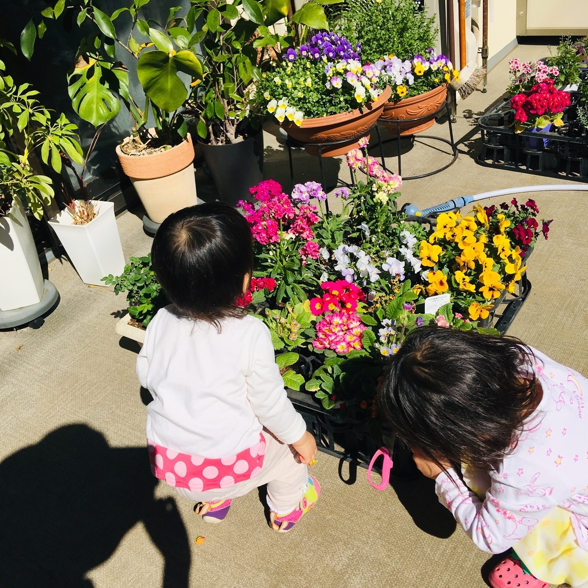 f:id:kototohana:20190418175310j:plain f:id:kototohana:20190418175310j:plain