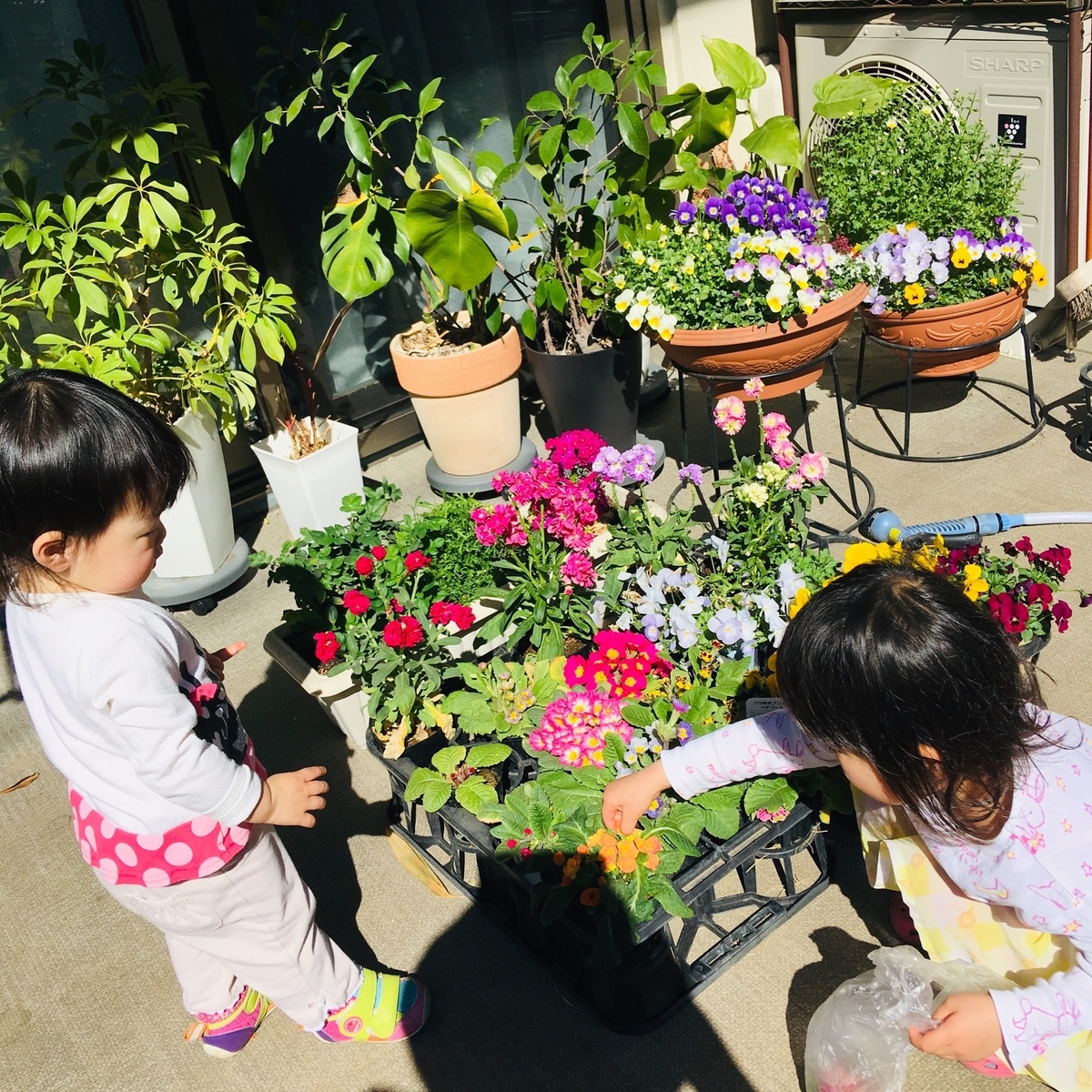 f:id:kototohana:20190418175324j:plain f:id:kototohana:20190418175324j:plain