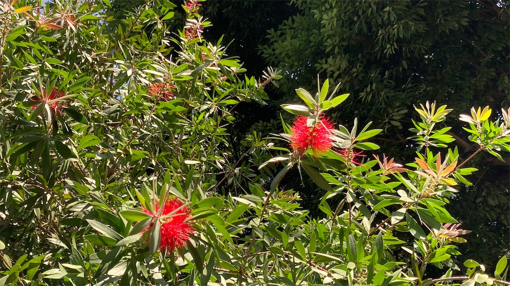 f:id:kotoyomu:20201003001255j:image