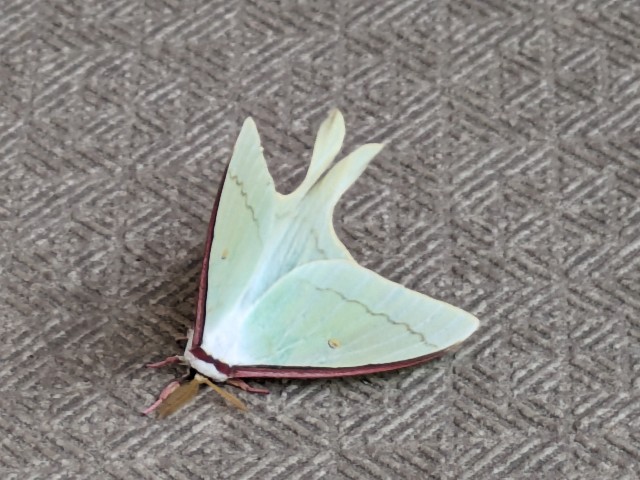 f:id:kotsu_oba:20240526221942j:image