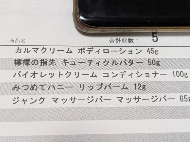 f:id:kotsu_oba:20250105233213j:image