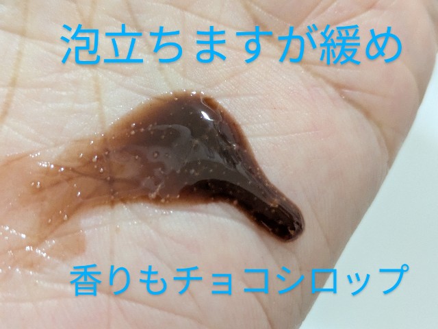 f:id:kotsu_oba:20250206225925j:image