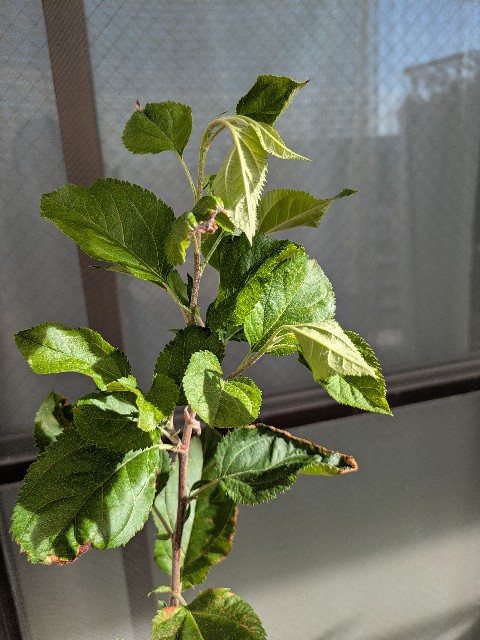 f:id:kotsu_oba:20250907223155j:image