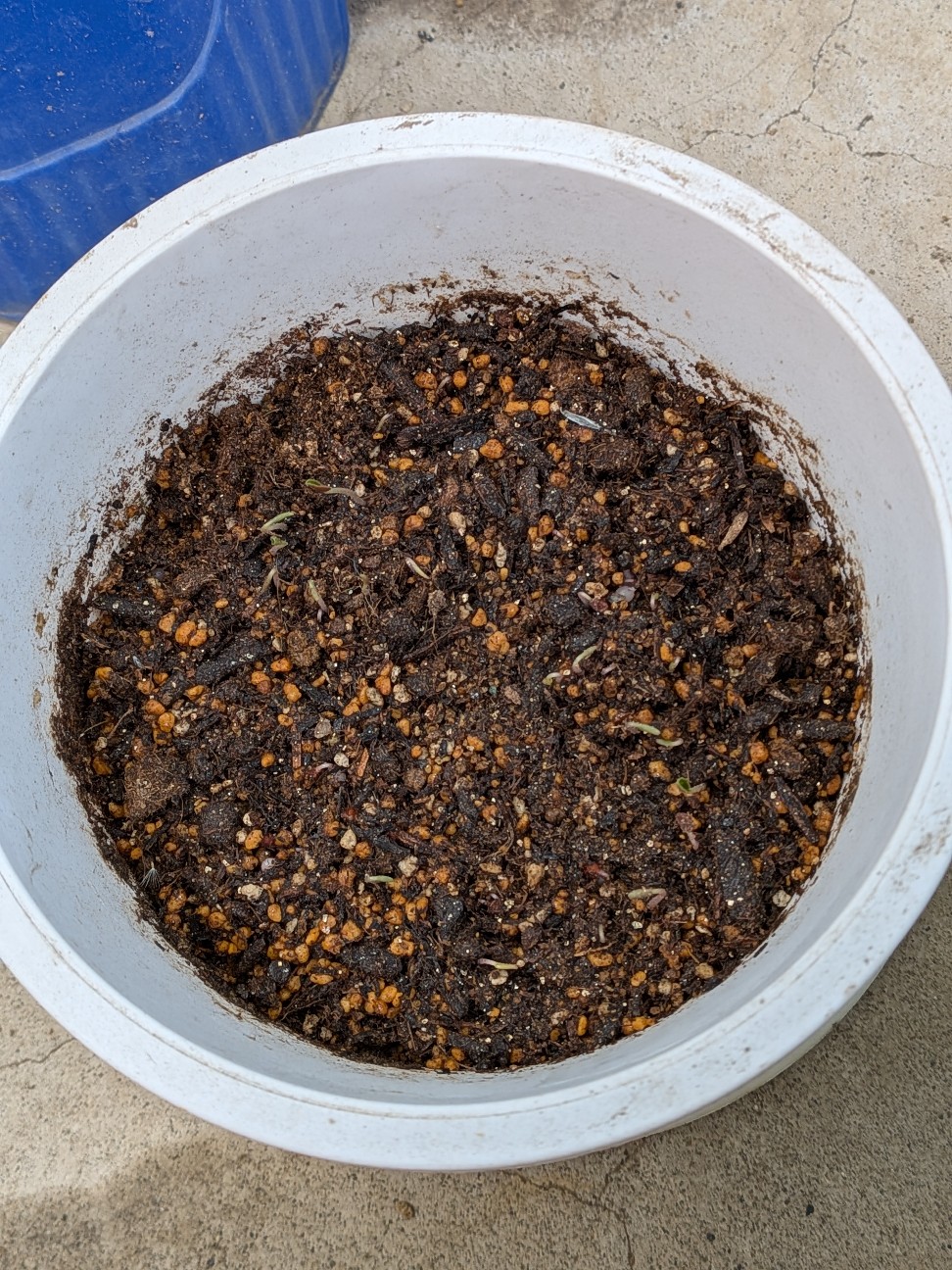 f:id:kotsu_oba:20251221225137j:image