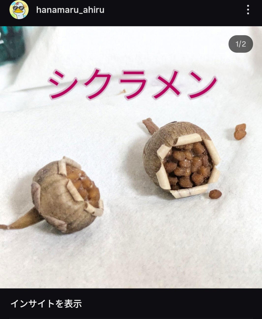 f:id:kotsu_oba:20251221230232j:image