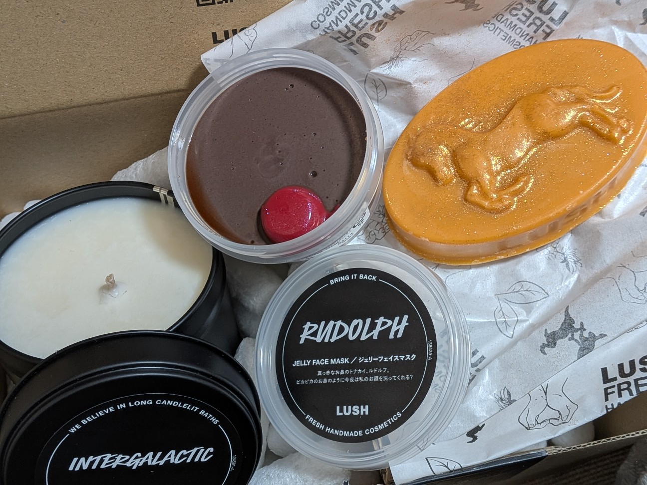 f:id:kotsu_oba:20260121204850j:image