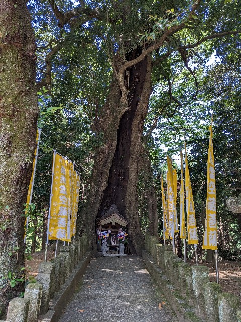 f:id:kotsuban0731:20230503221503j:image