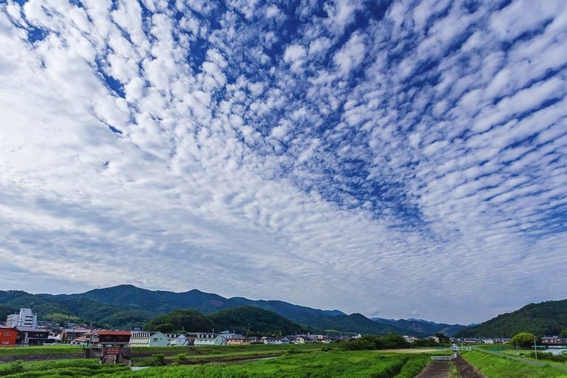 波状雲とひつじ雲で覆われた景色を眺めながら、2021年6月 - こつなぎの写真ノート