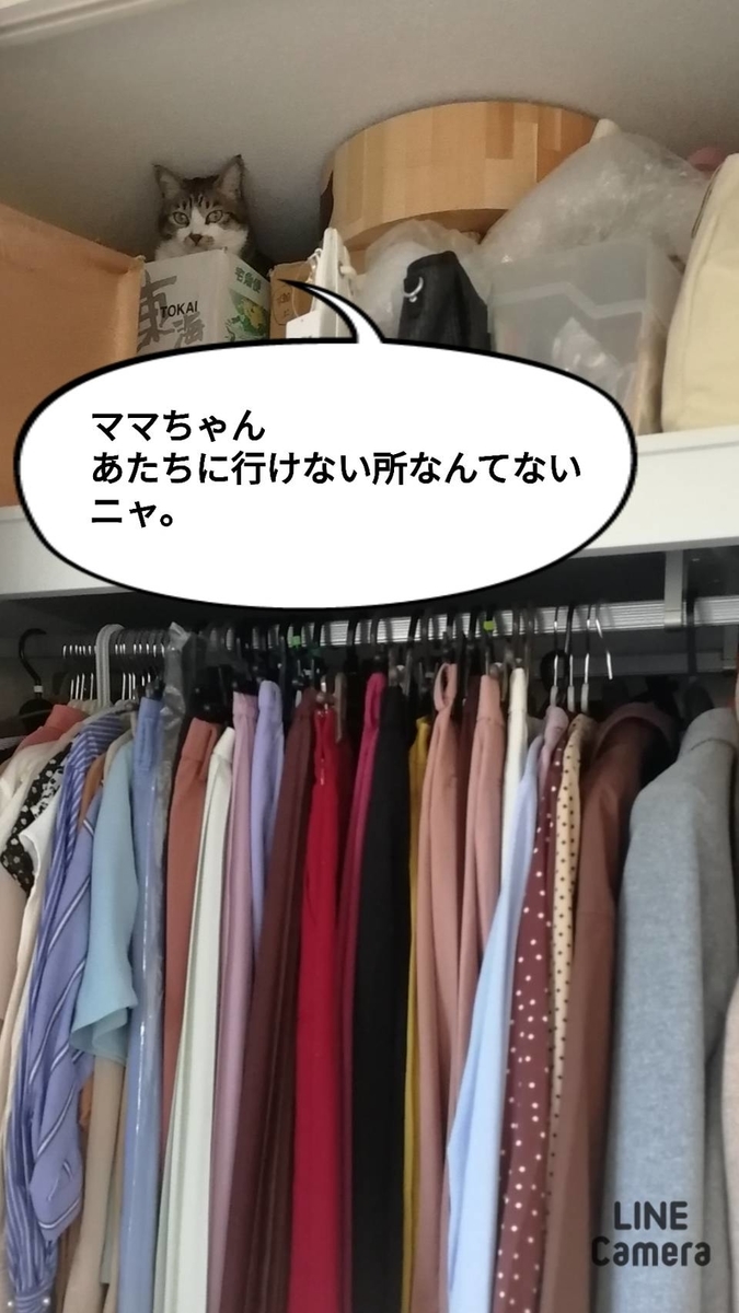 f:id:kotubutubu3253:20201216212229j:plain