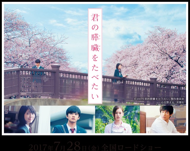 f:id:kotumekawauso:20191015161457j:image