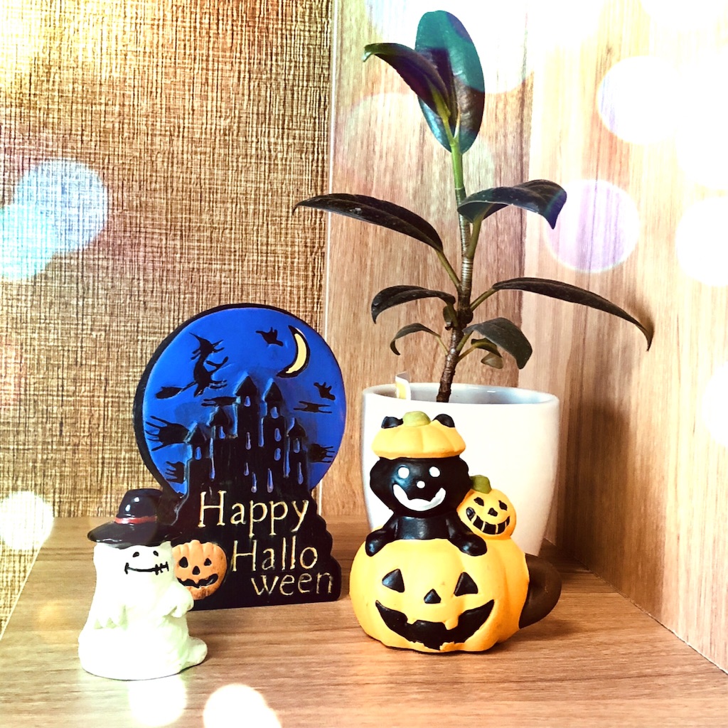 f:id:kotuwaku:20181026114907j:image f:id:kotuwaku:20181026114907j:image