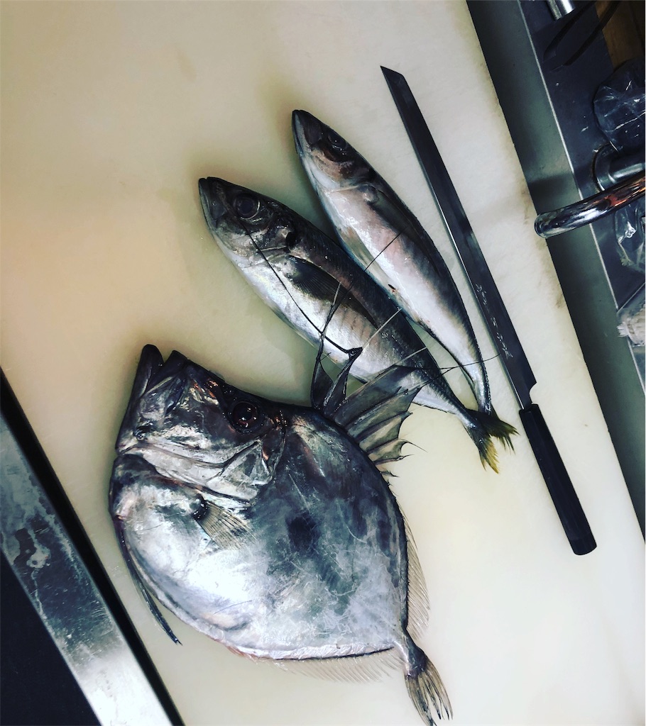 カリスマ不細工な魚たち 料理と旅行とお酒 キャンプと釣り