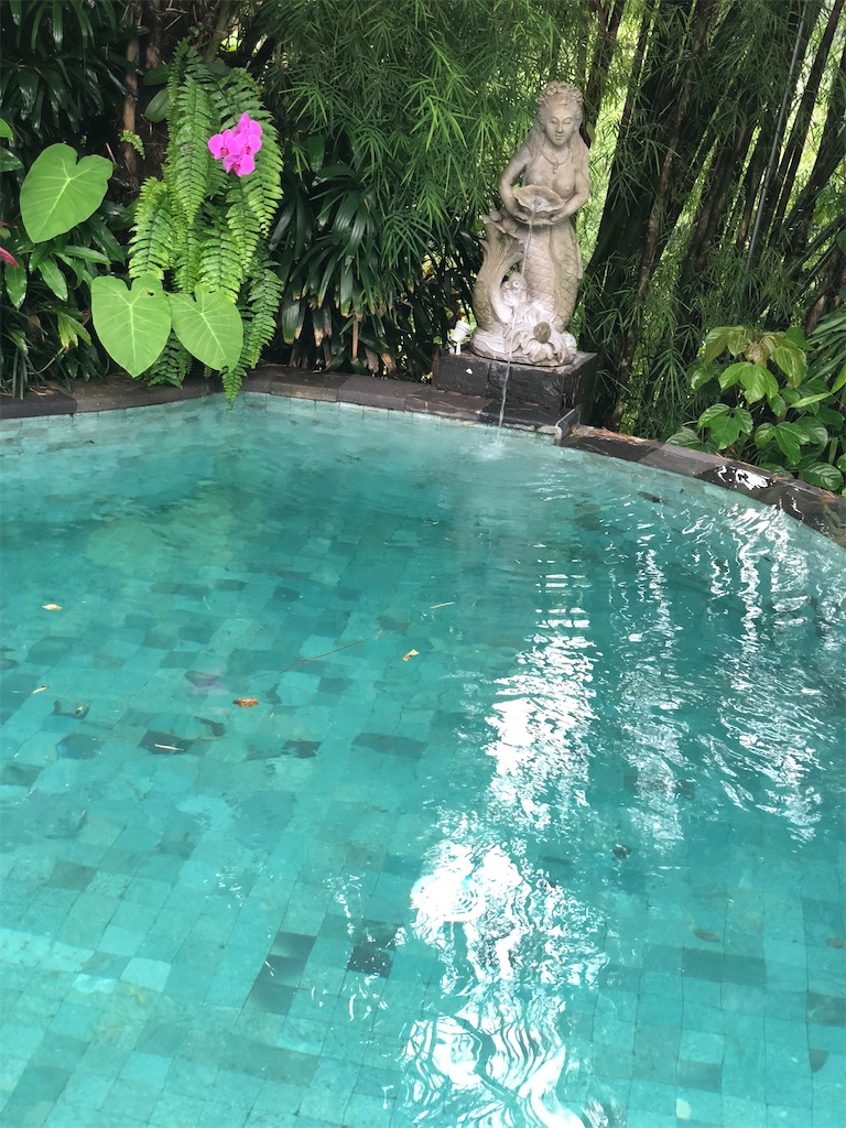 f:id:kou0051:20201014115920j:image f:id:kou0051:20201014115920j:image