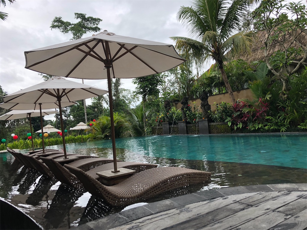 f:id:kou0051:20201014115929j:image f:id:kou0051:20201014115929j:image