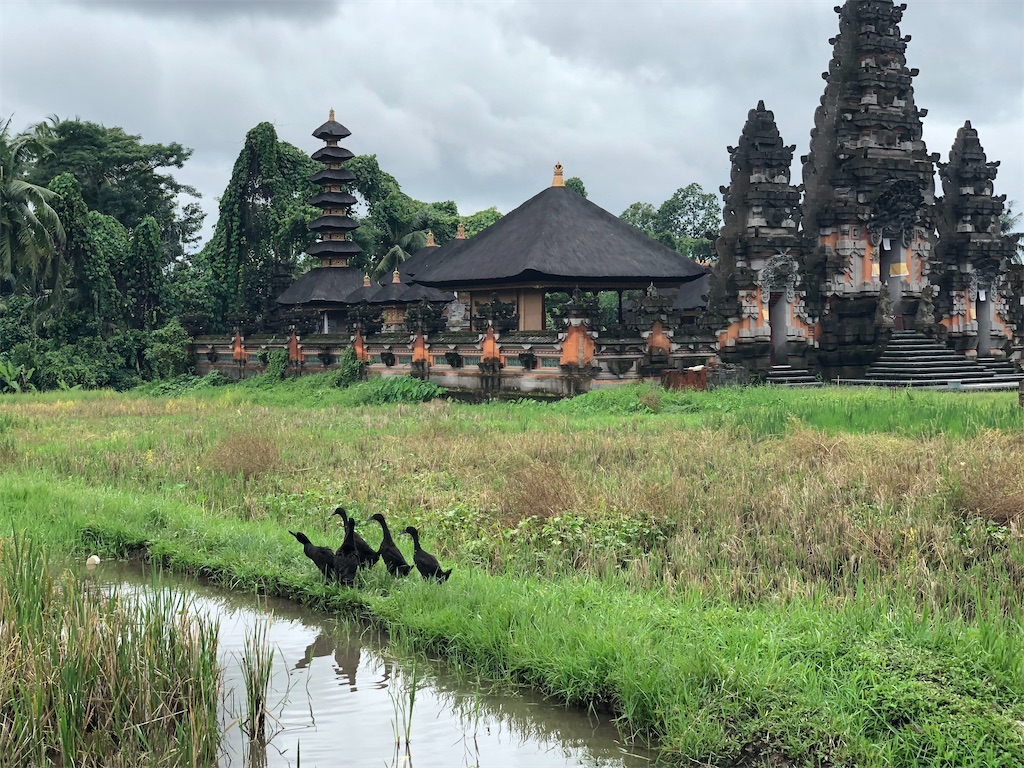 f:id:kou0051:20201014115933j:image f:id:kou0051:20201014115933j:image