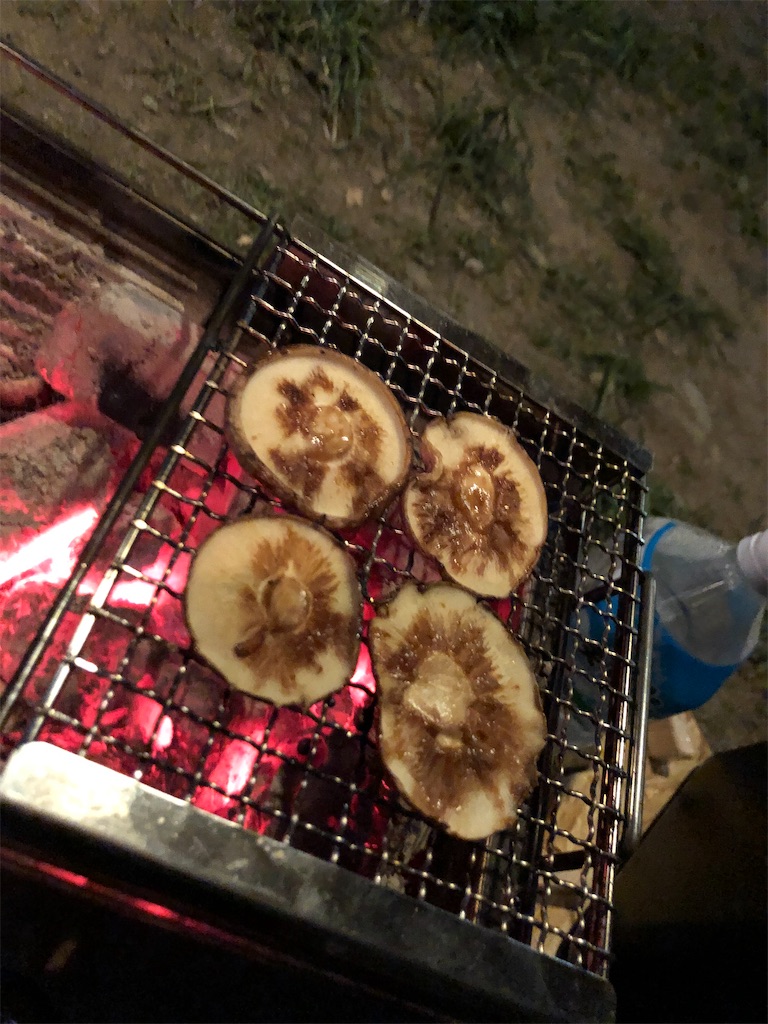 f:id:kou0051:20210508103824j:image