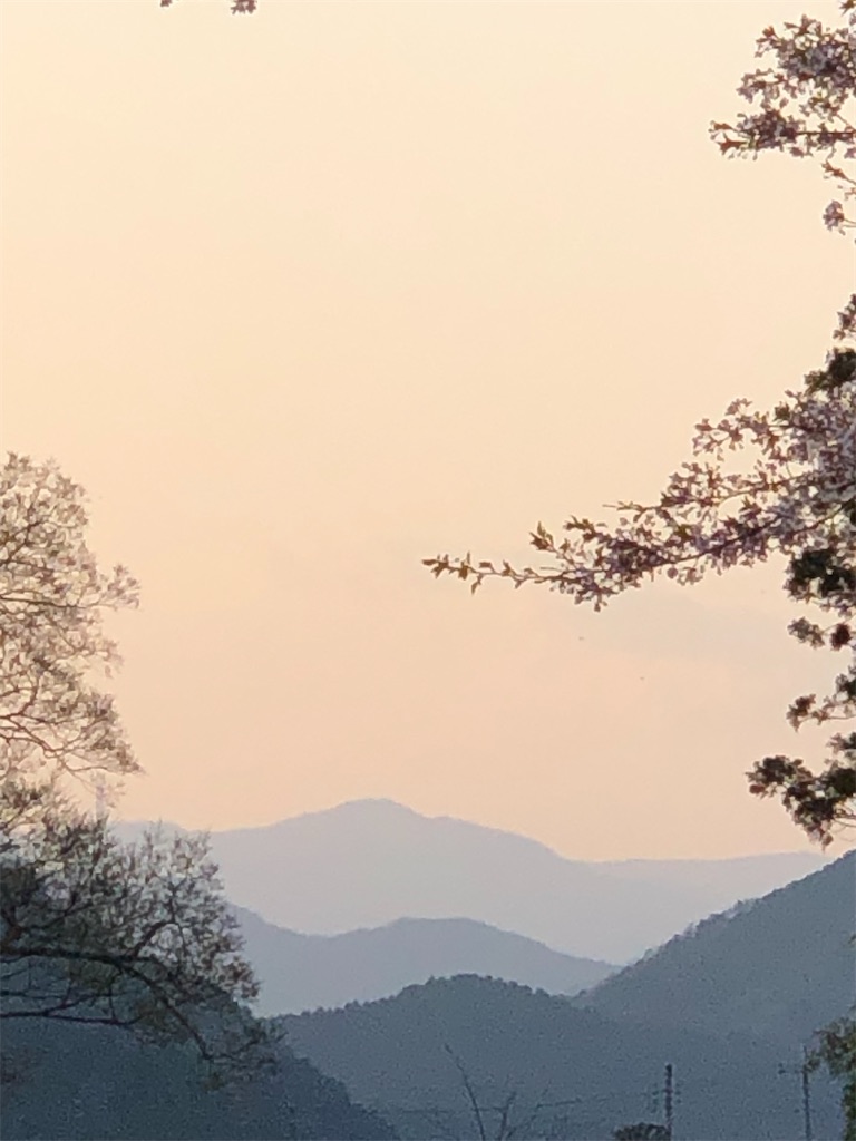 f:id:kou0051:20220412120220j:image f:id:kou0051:20220412120220j:image