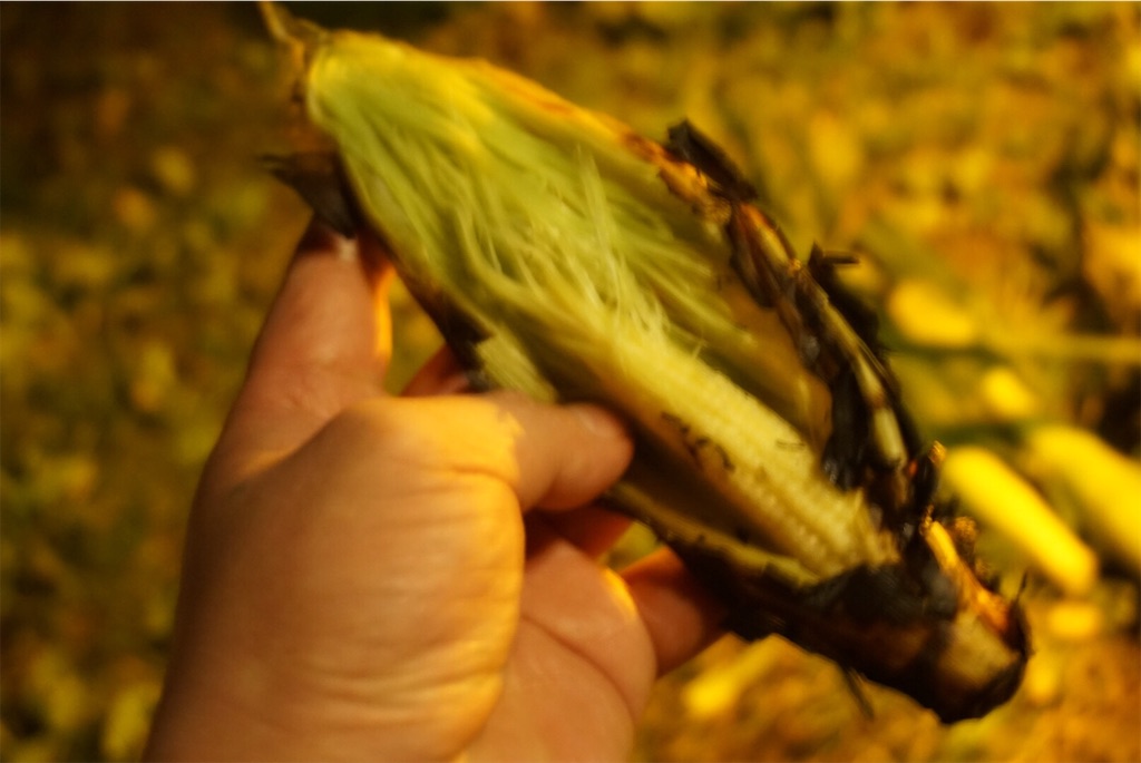 f:id:kou0051:20220616131724j:image f:id:kou0051:20220616131724j:image