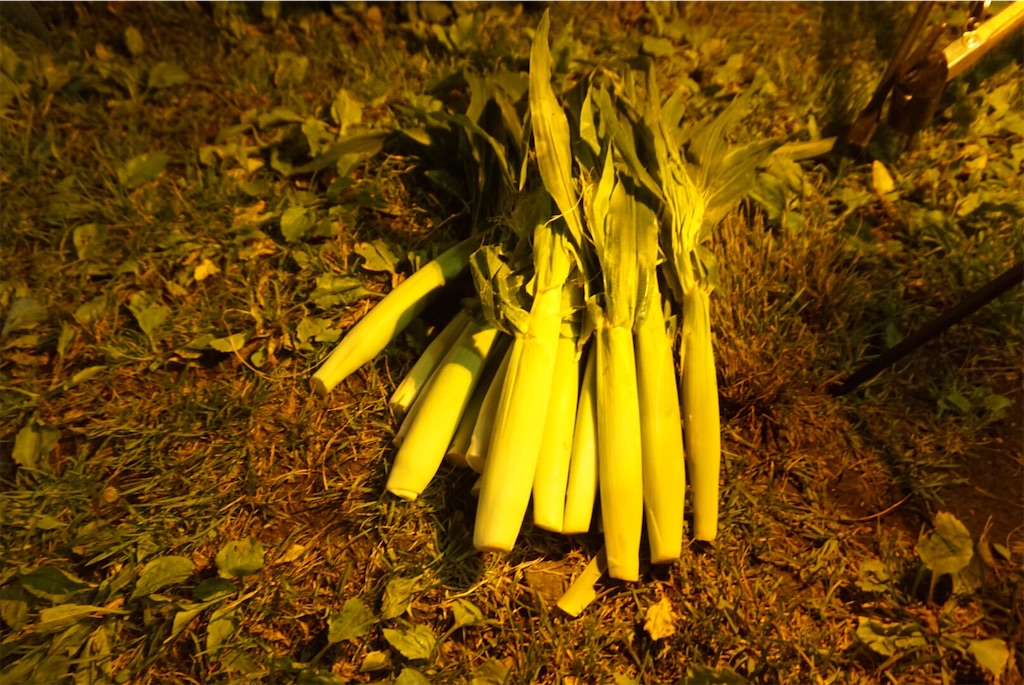 f:id:kou0051:20220616131805j:image f:id:kou0051:20220616131805j:image