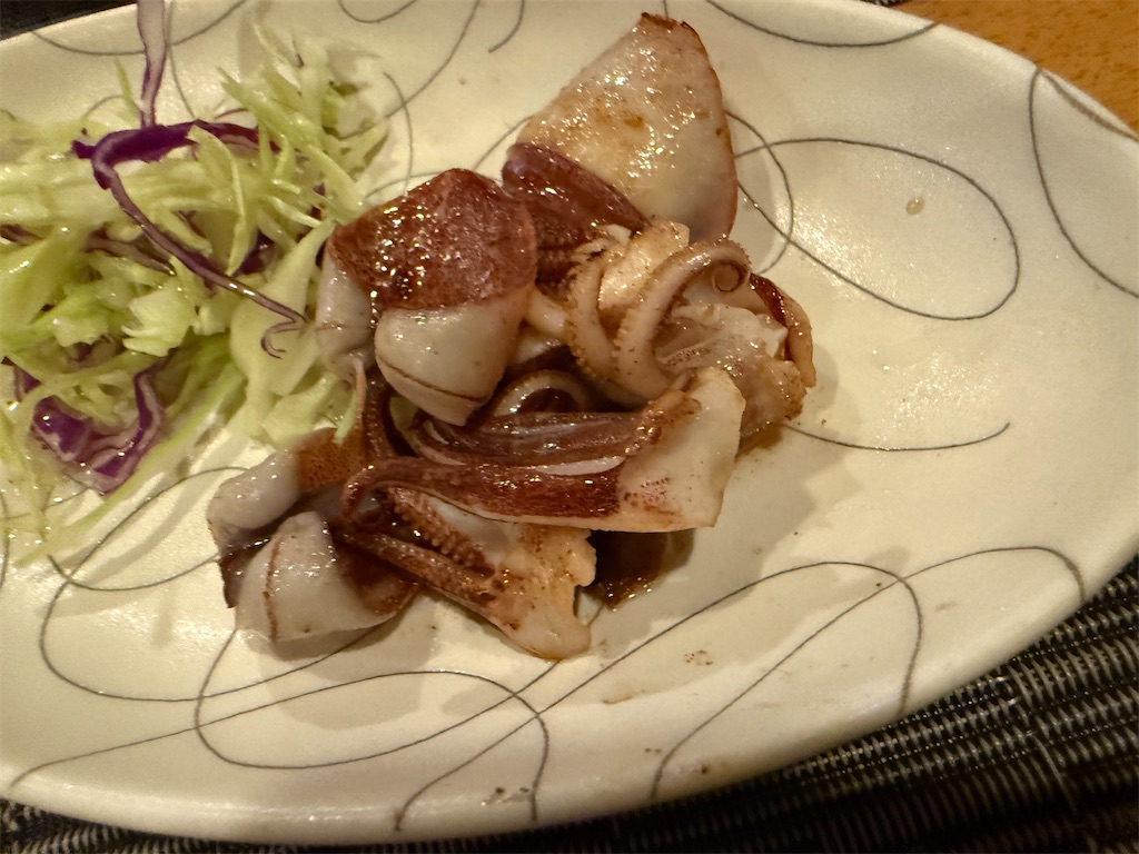 f:id:kou0051:20250516112118j:image