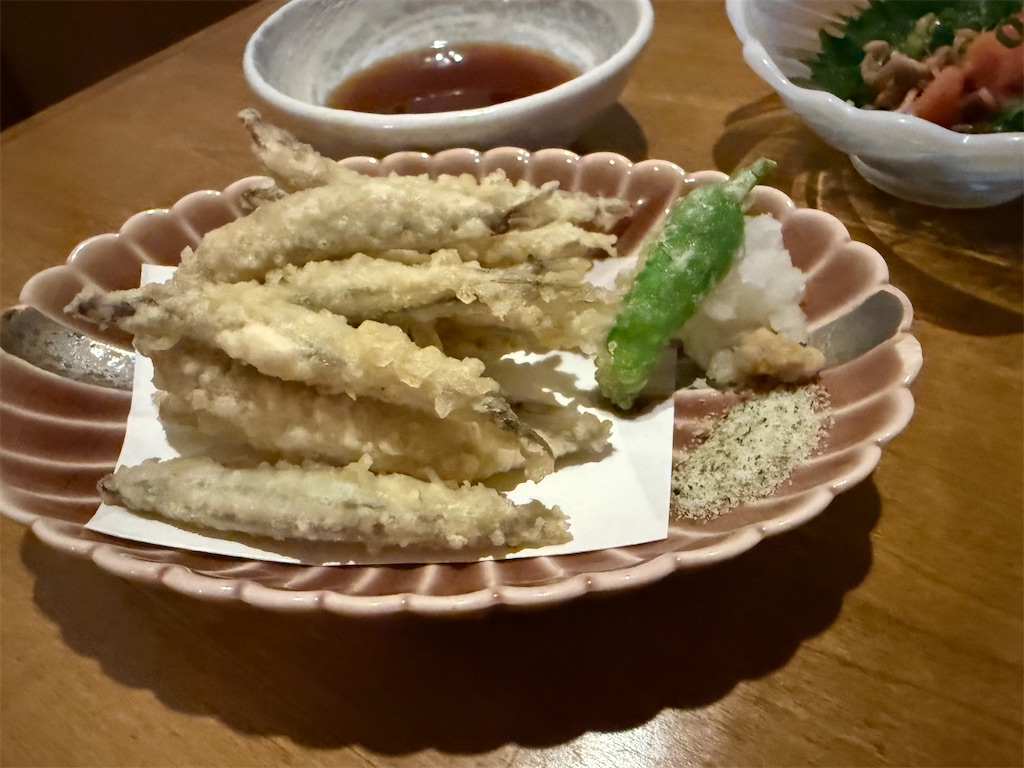 f:id:kou0051:20250516112158j:image
