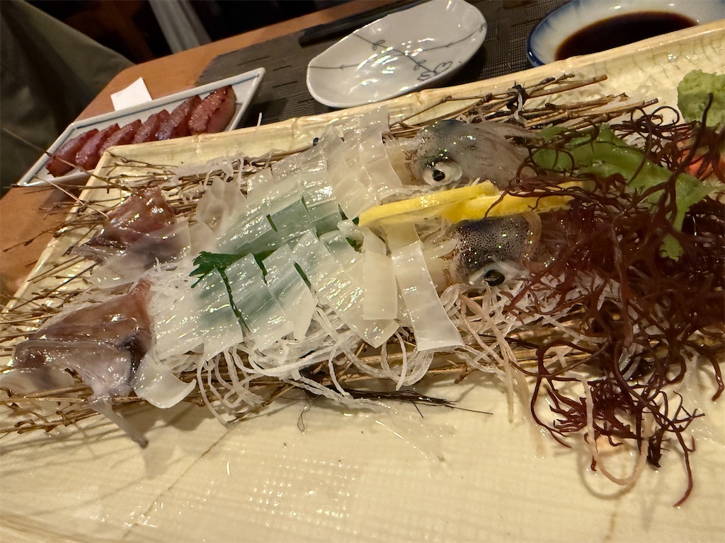f:id:kou0051:20250516112259j:image