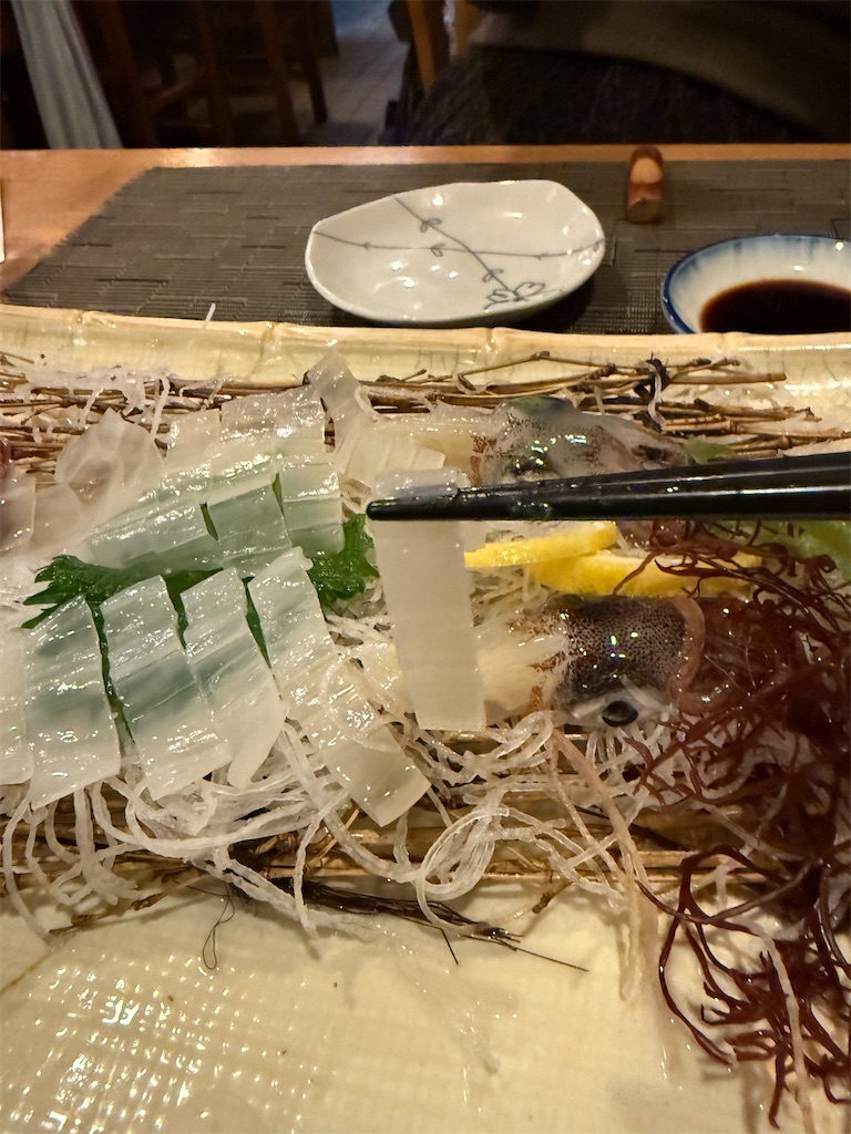 f:id:kou0051:20250516112308j:image