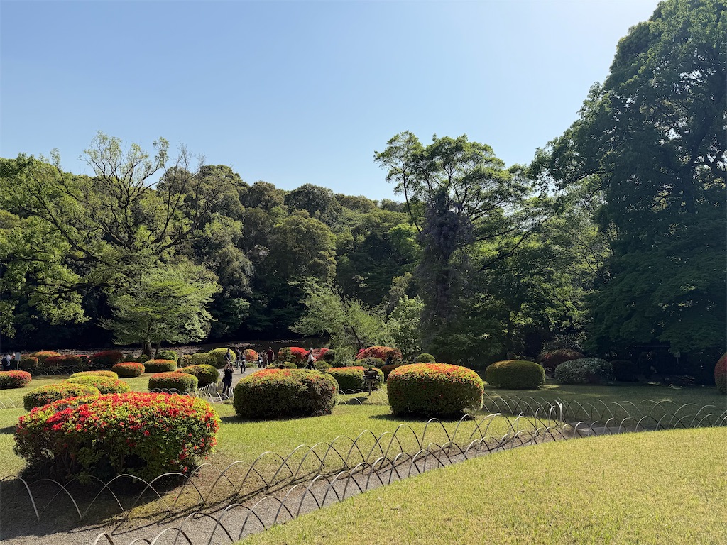f:id:kou0051:20250516112518j:image