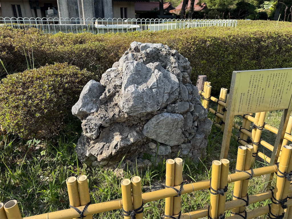 f:id:kou0051:20250516112633j:image