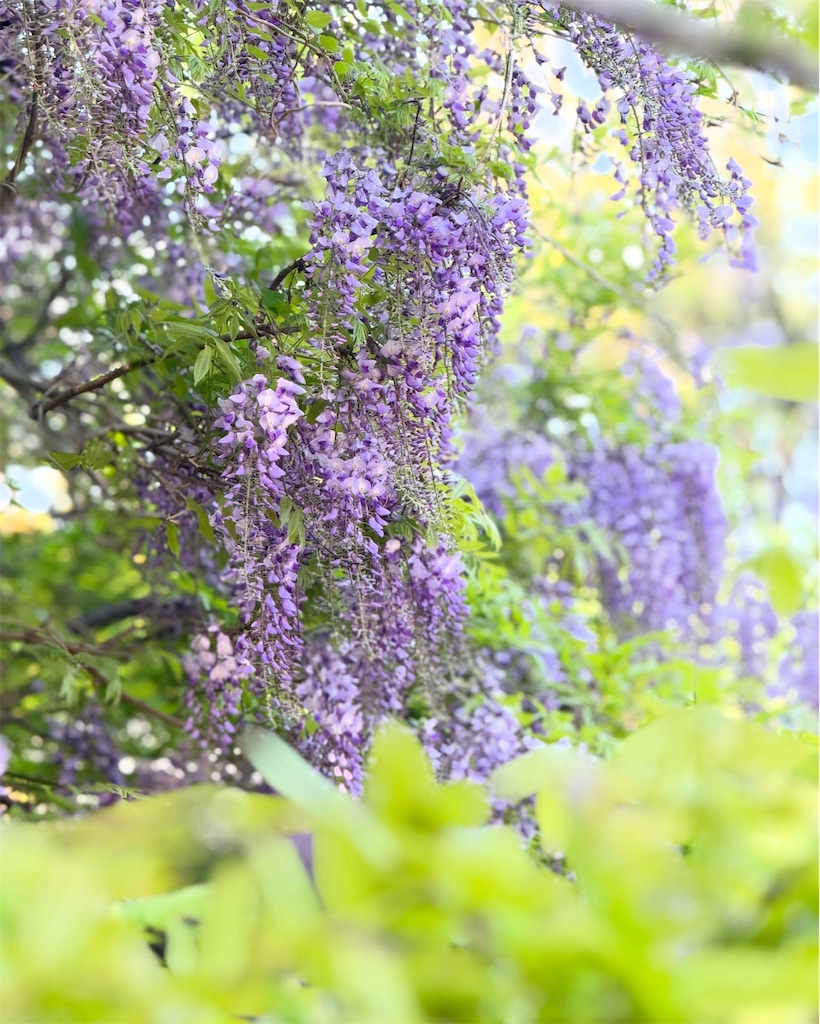 f:id:kou0051:20250516112720j:image