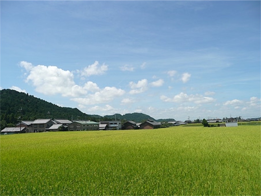 f:id:kou446:20190713162532j:image f:id:kou446:20190713162532j:image