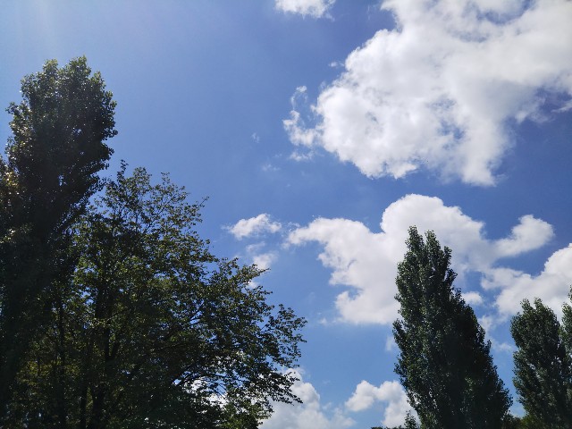 f:id:kou90ers:20200801212931j:image f:id:kou90ers:20200801212931j:image