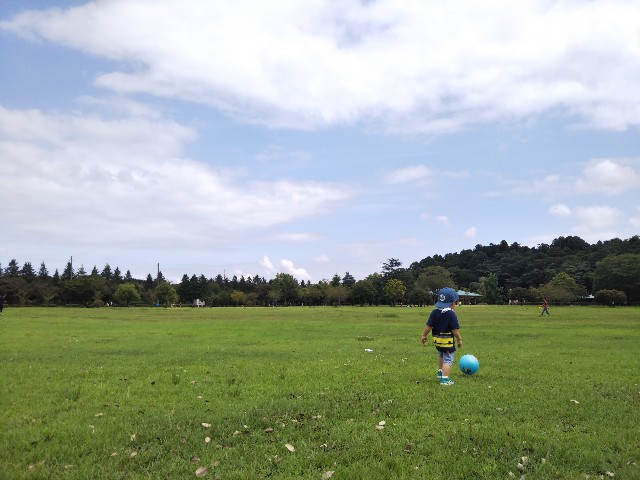 f:id:kou90ers:20200804122855j:image f:id:kou90ers:20200804122855j:image
