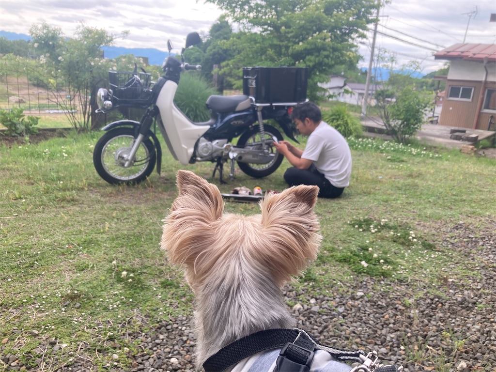 f:id:kou978384:20260525103815j:image