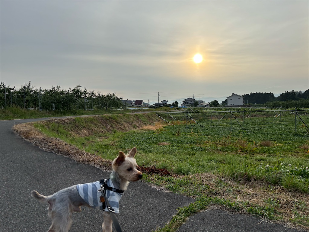 f:id:kou978384:20260916112108j:image f:id:kou978384:20260916112108j:image