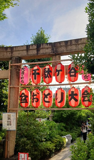 f:id:kou_ryou:20250724062643j:image