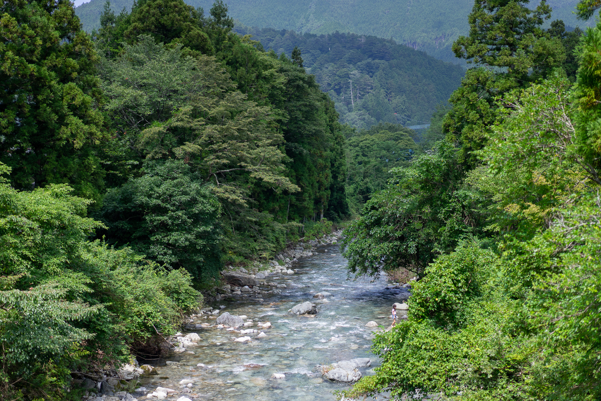 f:id:koucredo:20190928220612j:plain