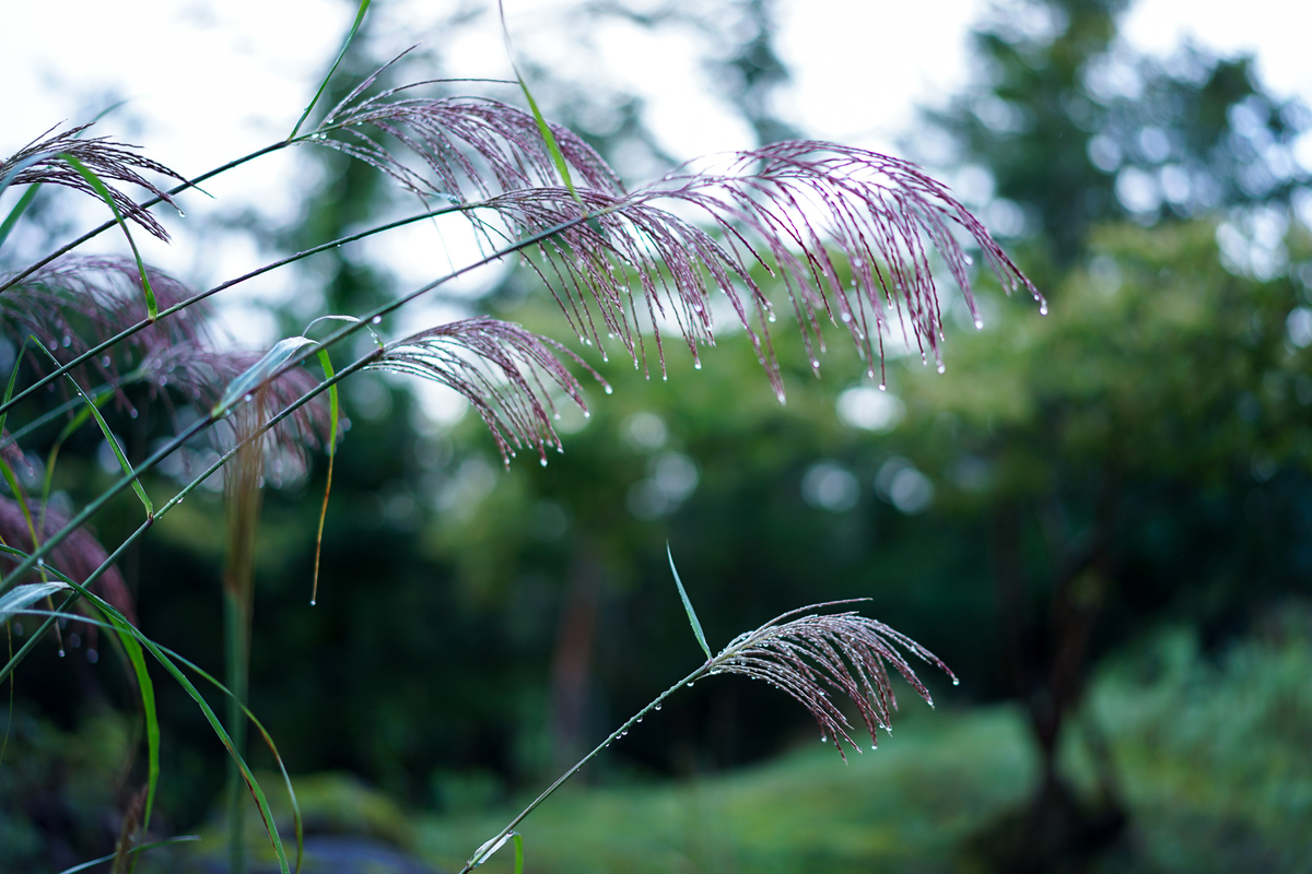f:id:koucredo:20190930221900j:plain