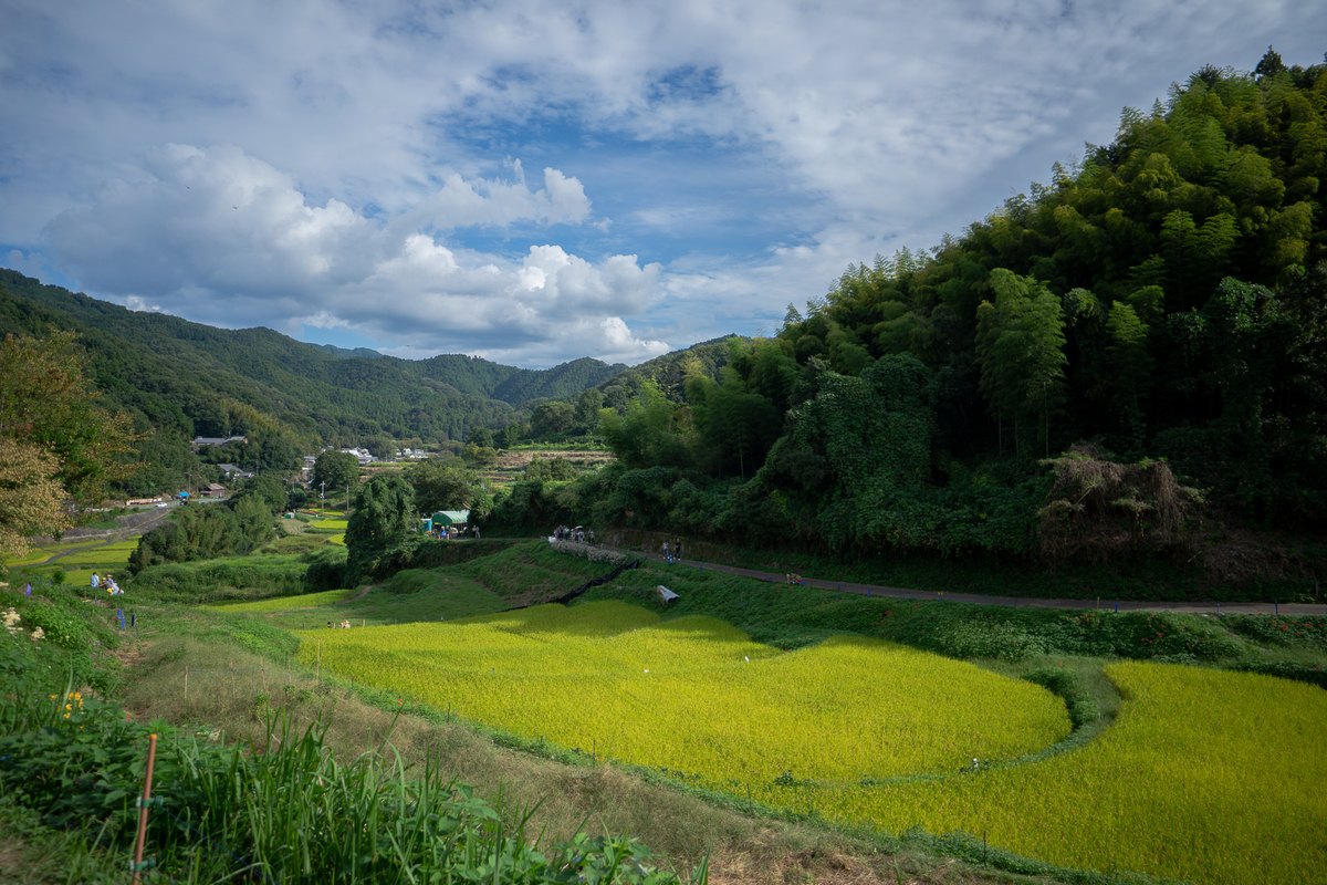 f:id:koucredo:20190930222453j:plain