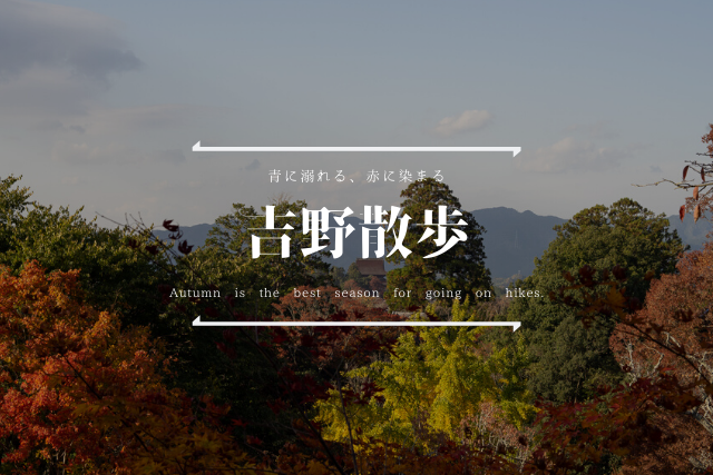f:id:koucredo:20191124165618p:plain